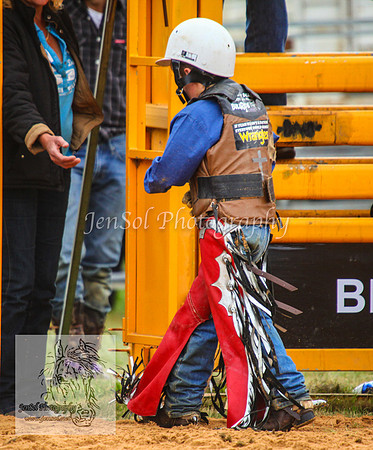 BraidwoodAM5D_0403
