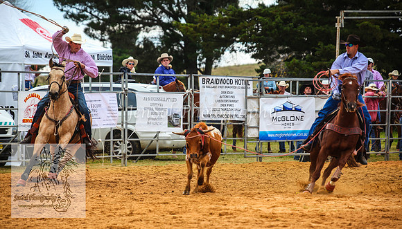 BraidwoodAM5D_0079