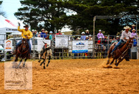 BraidwoodAM5D_0073