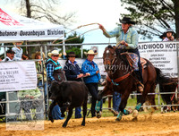 BraidwoodAM5D_0216