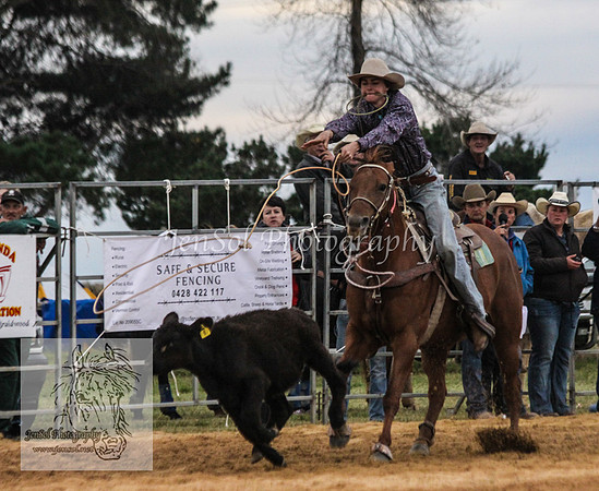 BraidwoodPMKJS_0766