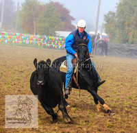 DelegateSat5D_0006