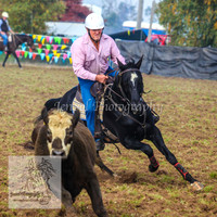 DelegateSat5D_0017