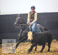 DelegateSat5D_0045