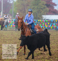 DelegateSat5D_0052
