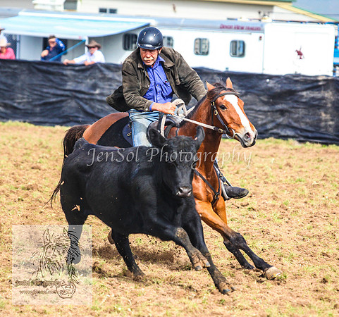 DelegateSat5D_0059