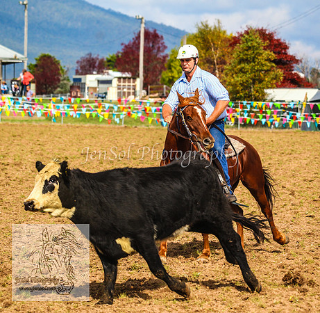 DelegateSat5D_0094