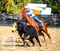 DelegateSat5D_0108
