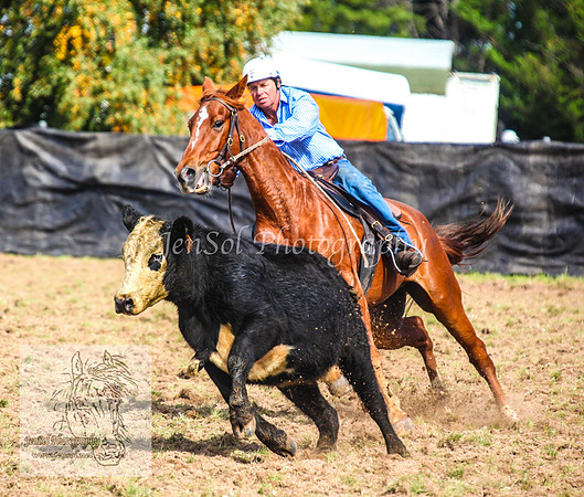 DelegateSat5D_0108