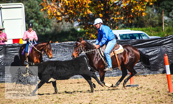 DelegateSat5D_0170