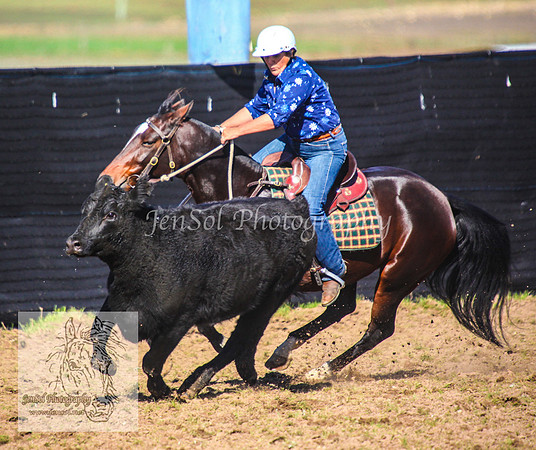 DelegateSat5D_0196