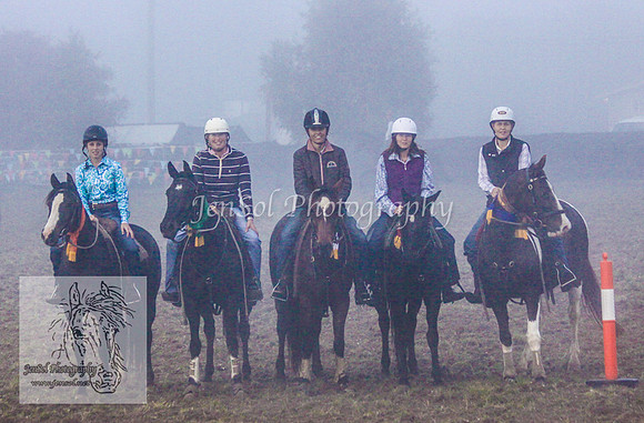 DelegateSatKJS_0010