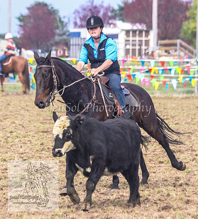 DelegateSatKJS_0077
