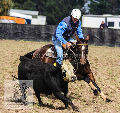 DelegateSatKJS_0118