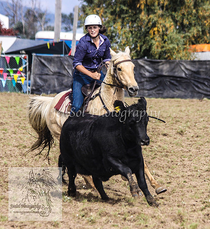 DelegateSatKJS_0145