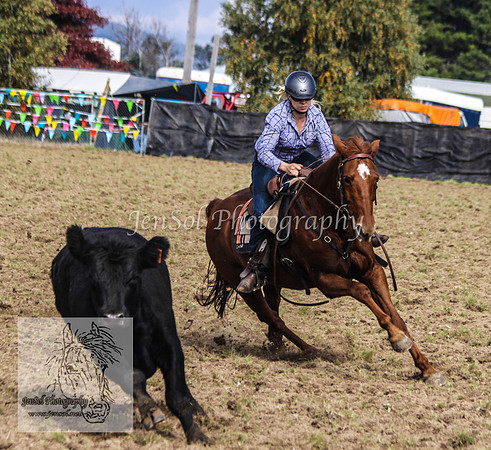 DelegateSatKJS_0158