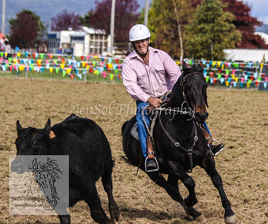 DelegateSatKJS_0245
