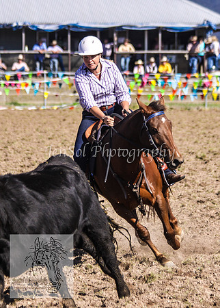 DelegateSatKJS_0393