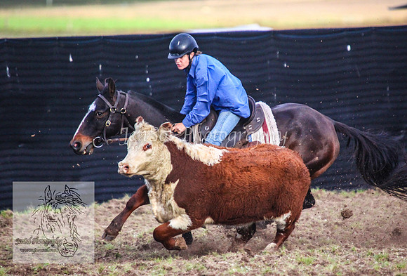 DelegateFriJS_0118