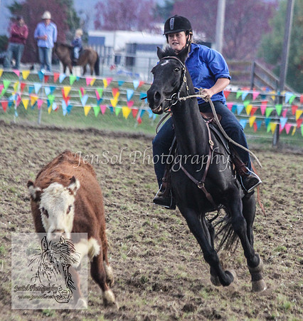DelegateFriKJS_0119