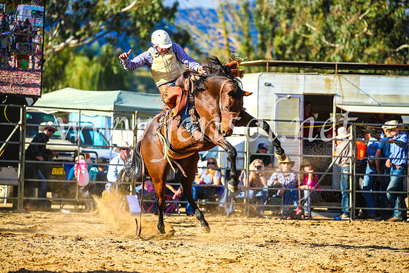 TumutRodeo2017_2453