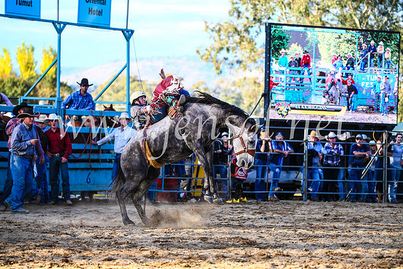 TumutRodeo2017_2995