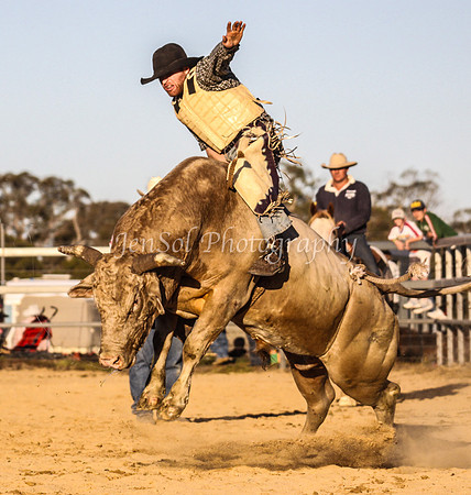 IMG_0940Jindy