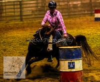 HorseworldOne_0067