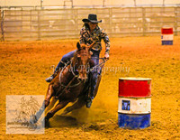 HorseworldOne_0433