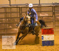 HorseworldOne_0452