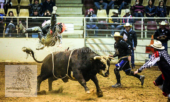 HorseworldOne_0134