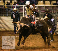 HorseworldOne_0128