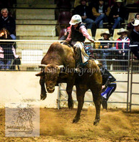 HorseworldOne_0151