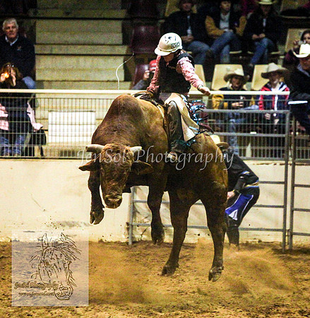 HorseworldOne_0151