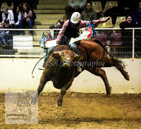 HorseworldOne_0160