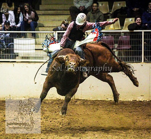 HorseworldOne_0160