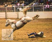 Bulls and Broncs