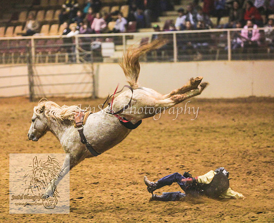 HorseworldOne_0217