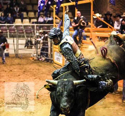 HorseworldOne_0174