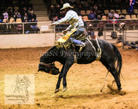 HorseworldOne_0245