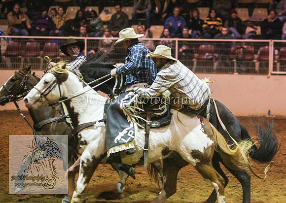 HorseworldOne_0255