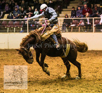 HorseworldOne_0270
