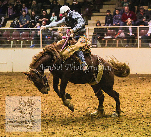 HorseworldOne_0270