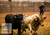 HorseworldOne_0335