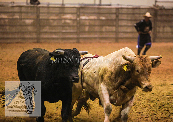 HorseworldOne_0335