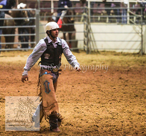 HorseworldOne_0271