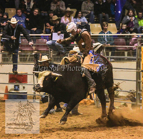 HorseworldOne_0337
