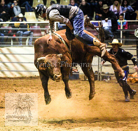 HorseworldOne_0352