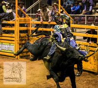 HorseworldOne_0361