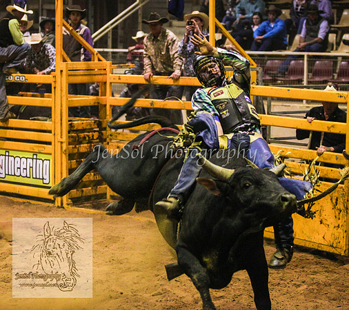 HorseworldOne_0361